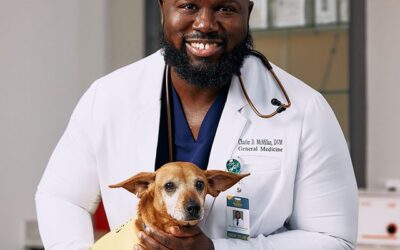Blog AI Search for Veterinarians: How Pet Owners Find Your Practice on ChatGPT
